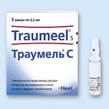 Упаковка Траумель С (Traumeel S) Упаковка Траумель С (Traumeel S)