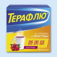 Упаковка ТераФлю (TeraFlu)